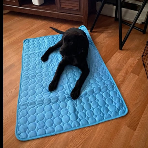 Cooling Mat for Dogs