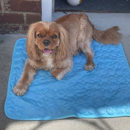 Cooling Mat for Dogs