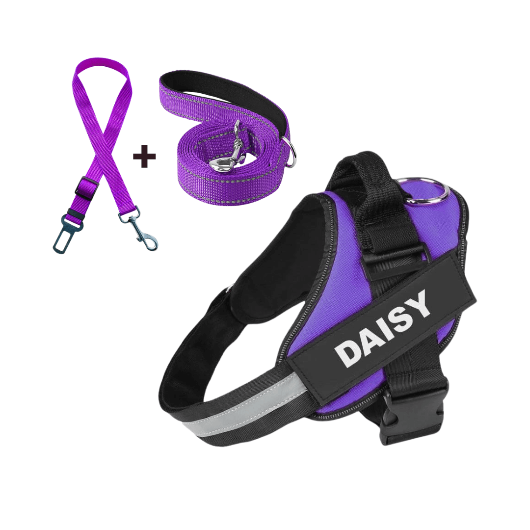 Dog Harness + Free Leash & Safety Belt