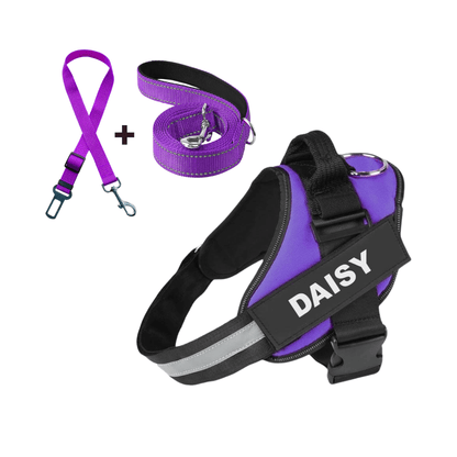 Dog Harness + Free Leash & Safety Belt