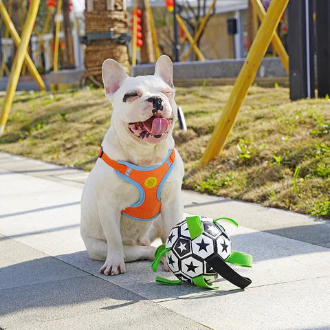 Dog Toys Soccer Ball with Straps