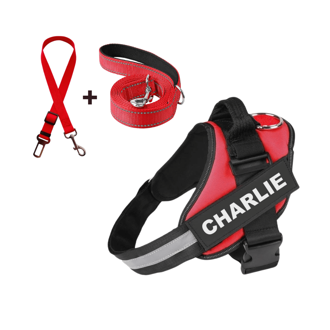 Dog Harness + Free Leash & Safety Belt