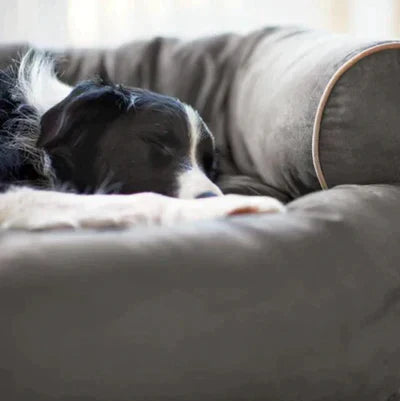 Warm Sofa Pet Bed