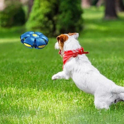 Doggy Disc Ball for Dog