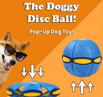 Doggy Disc Ball for Dog