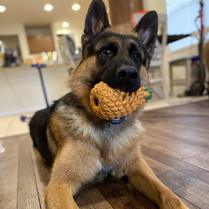 Pineapple Dog Chew Toy With Treat Fill for Aggressive Chewer