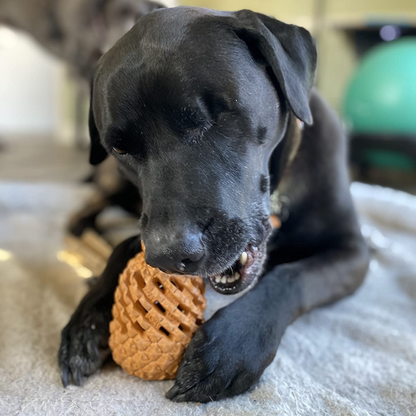 Pineapple Dog Chew Toy With Treat Fill for Aggressive Chewer