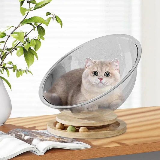 Space Capsule Cat Bed Transparnt Cat House