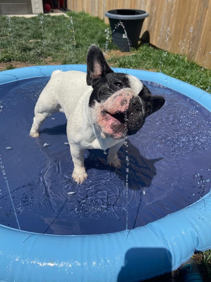 Non-Slip Splash Pad for Kids and Dog