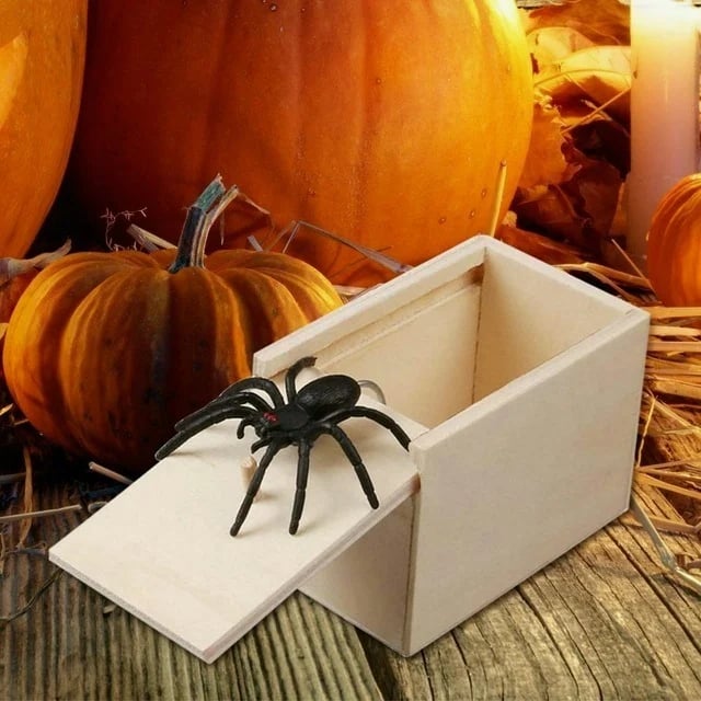 Funny Crazy Spider Prank Box