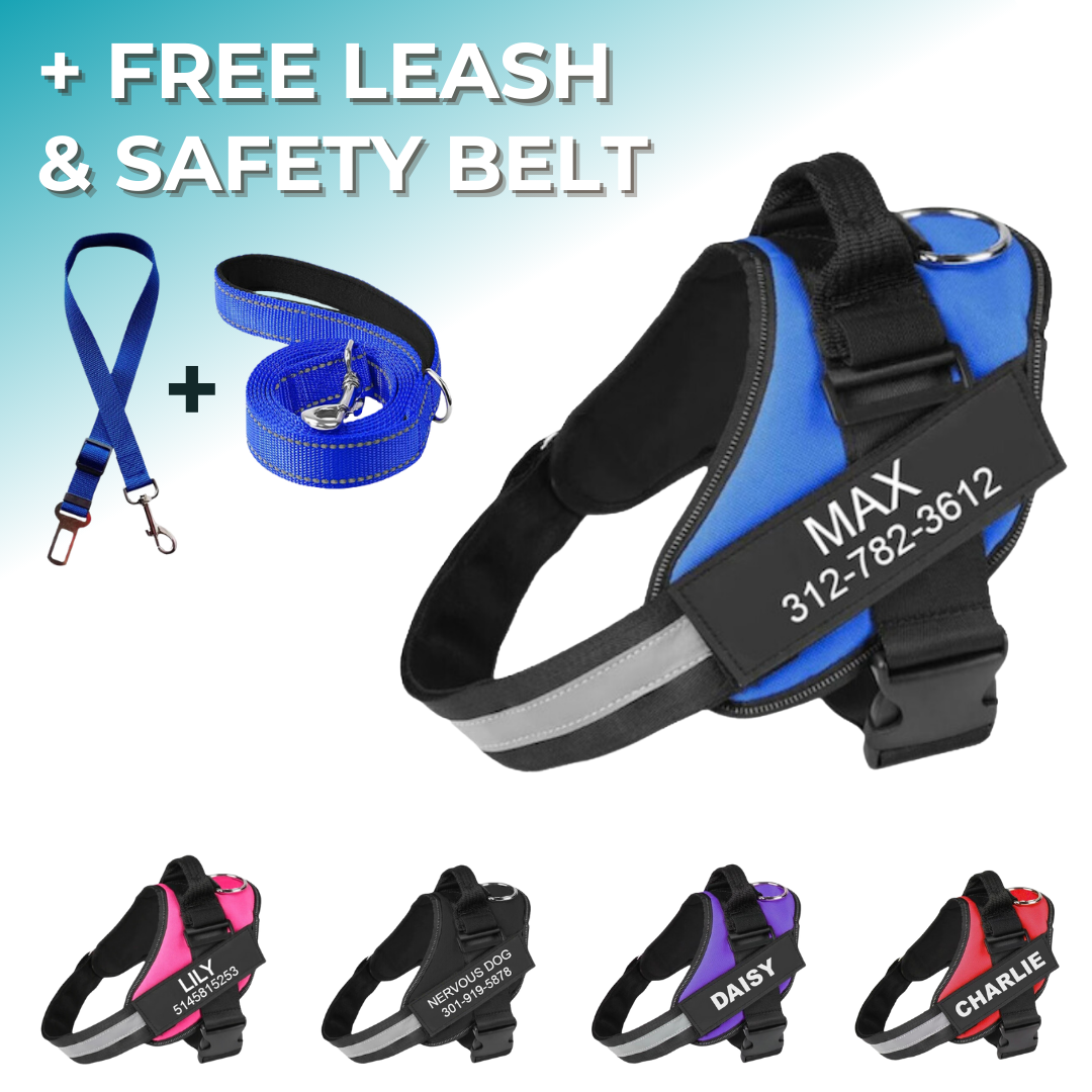 Dog Harness + Free Leash & Safety Belt