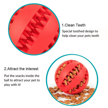 Doggie Treat Chew Ball