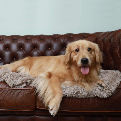 Cosy Calming Dog Blanket