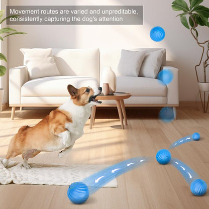 Electric Rolling Pet Toy Ball