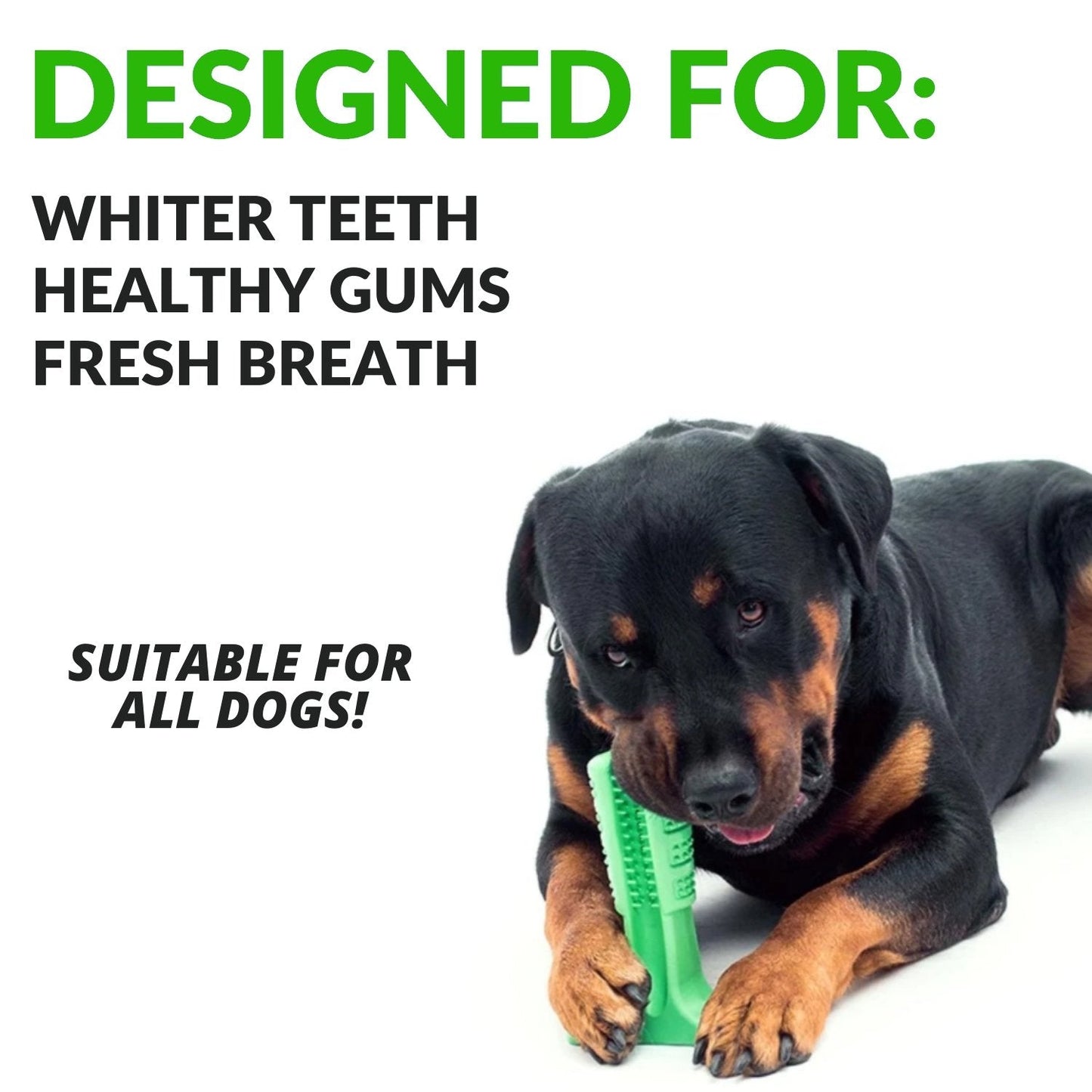 Dog Chew Brush