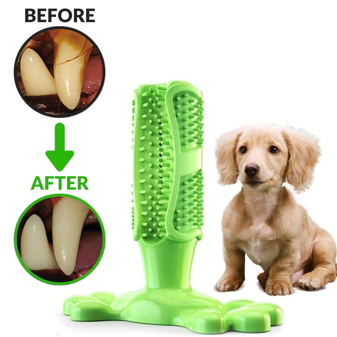 Dog Chew Brush