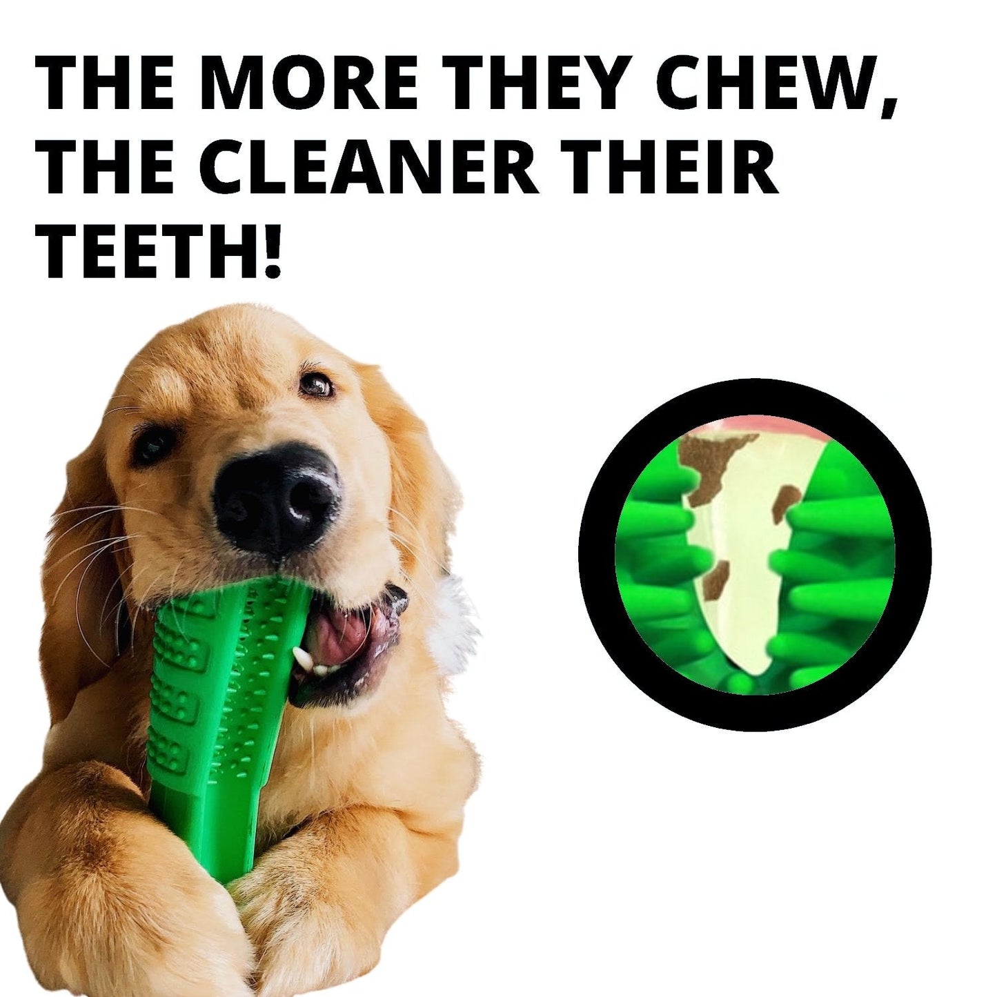 Dog Chew Brush