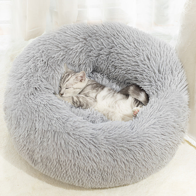 Cats Bed