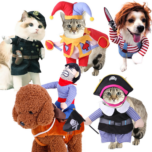 Pet Cosplay Costume