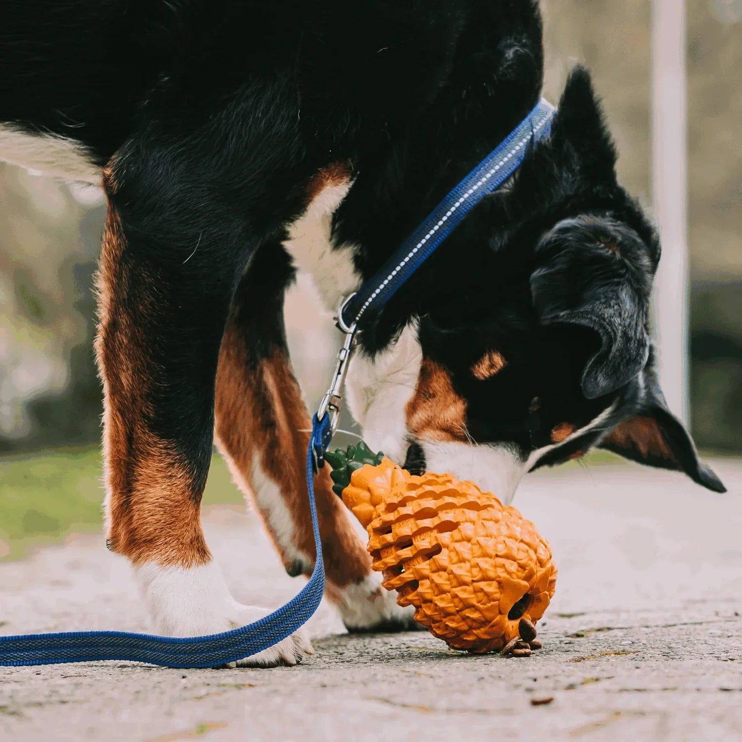 Pineapple Dog Chew Toy With Treat Fill for Aggressive Chewer