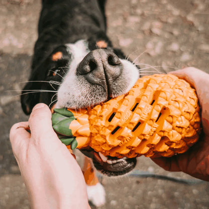 Pineapple Dog Chew Toy With Treat Fill for Aggressive Chewer