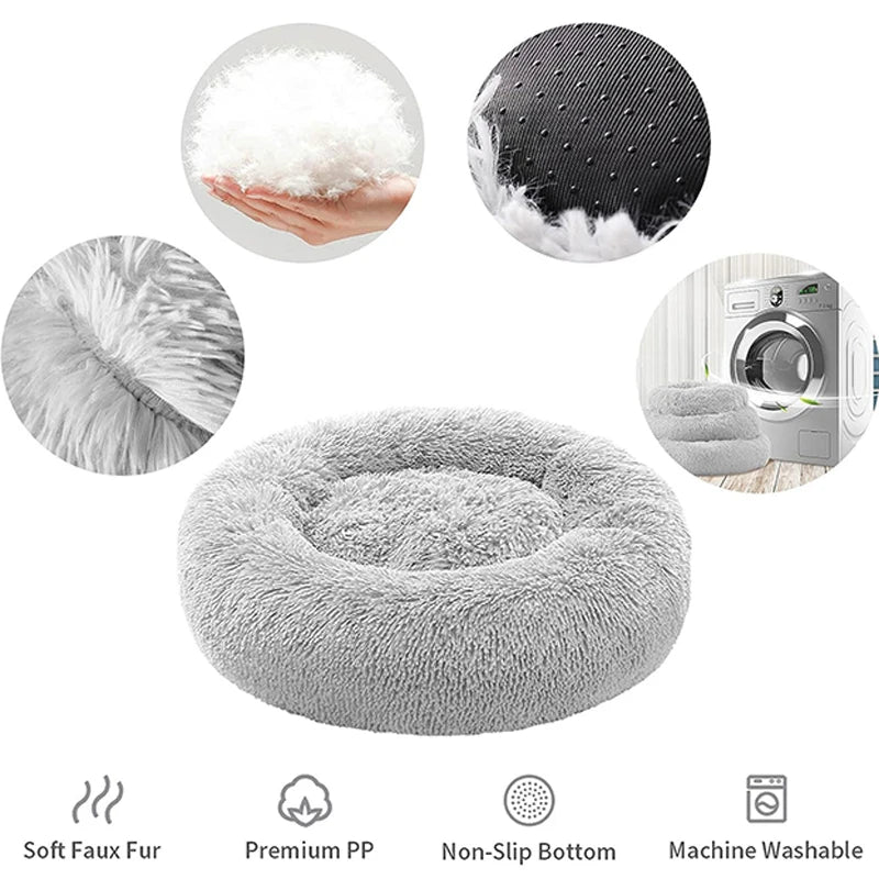 Ellipse Soft Dog Beds