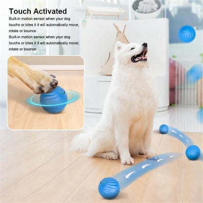 Electric Rolling Pet Toy Ball