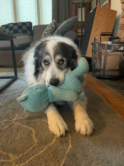 Calming Bear Plush Doy Toys For Heavy Chewers