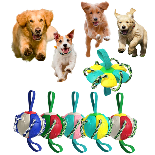 Interactive Flying Disk Ball Dog Toy