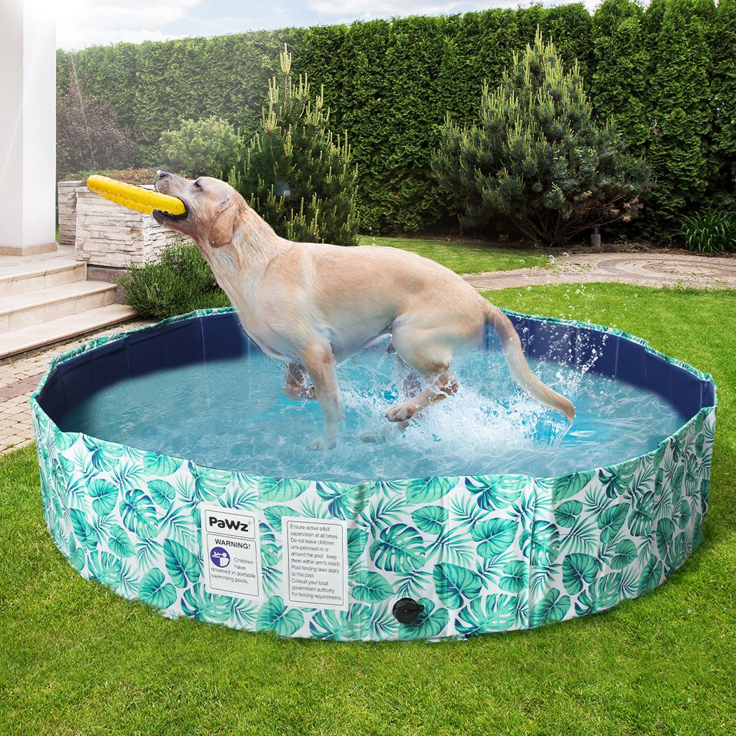 Portable Pet Pool