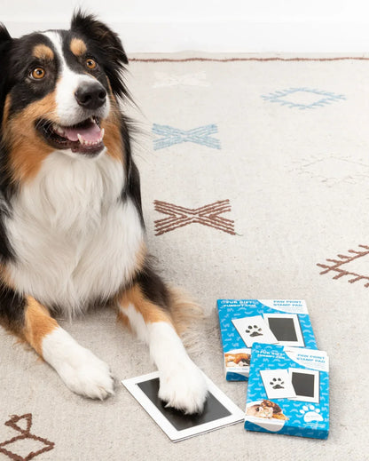 Paw Print Stamp Pad