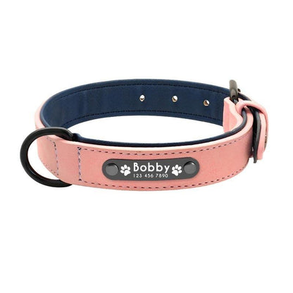 Personalized Dog Collar