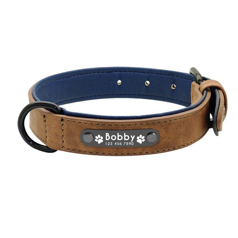 Personalized Dog Collar