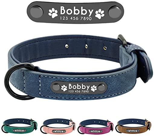 Personalized Dog Collar