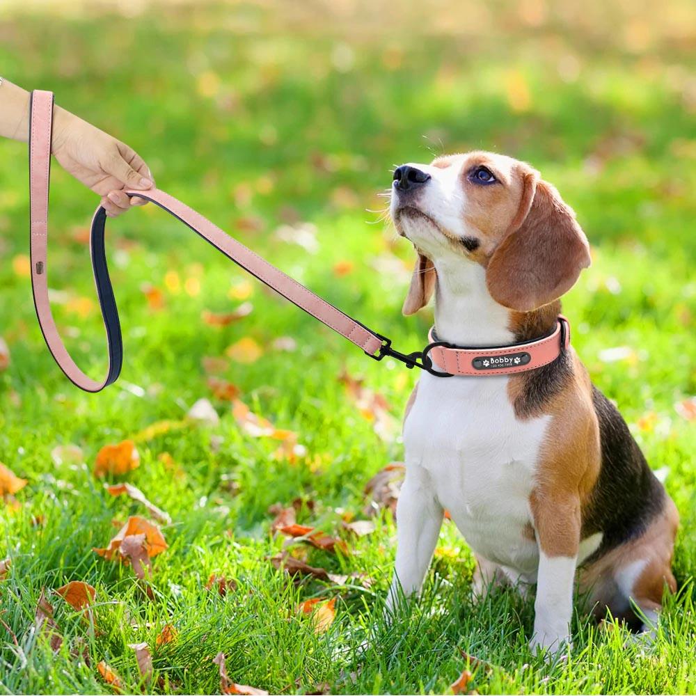 Personalized Dog Collar