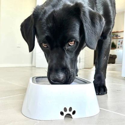 No-Spill Pet Water Bowl